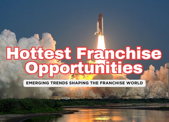 The Hottest Franchise Sectors for 2025 🔥